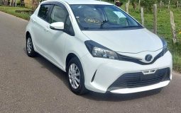 342657012_6967529699941908_2320852031870186413_n