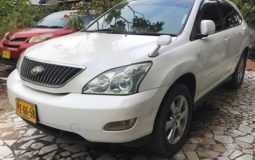 351399385_6151241314954226_7356268104822678017_n